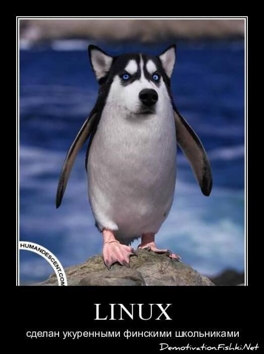 Смешной демотиватор от zubrilov за 30.03.2011 №72765