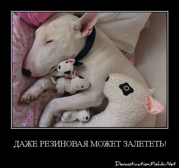 Даже резиновая может залететь!