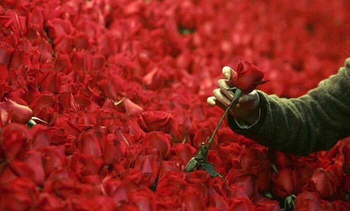 Прикольные фото и картинки от zubrilov за 01.04.2011 №72944