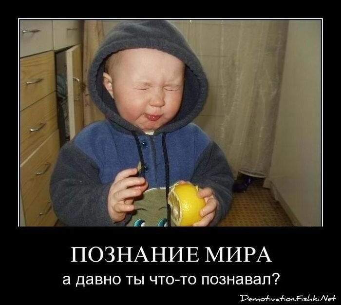 Смешной демотиватор от zubrilov за 01.04.2011 №73002