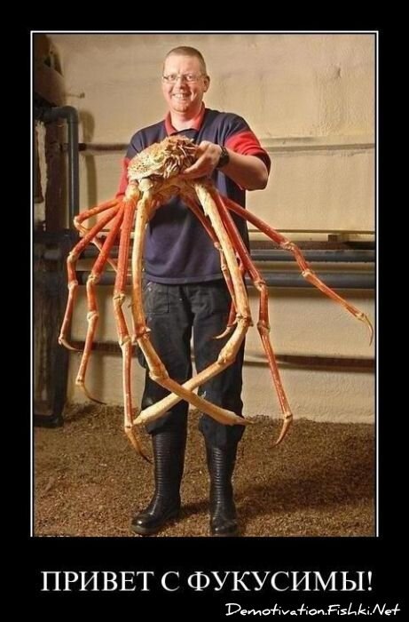 Смешной демотиватор от zubrilov за 01.04.2011 №73004