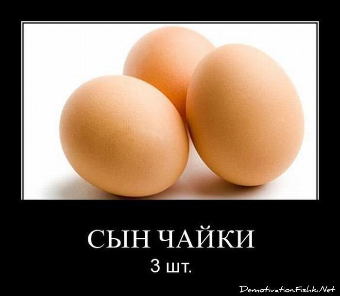 Смешной демотиватор от zubrilov за 01.04.2011 №73015
