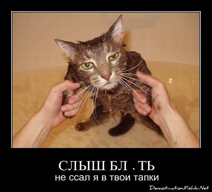 Смешной демотиватор от zubrilov за 01.04.2011 №73016