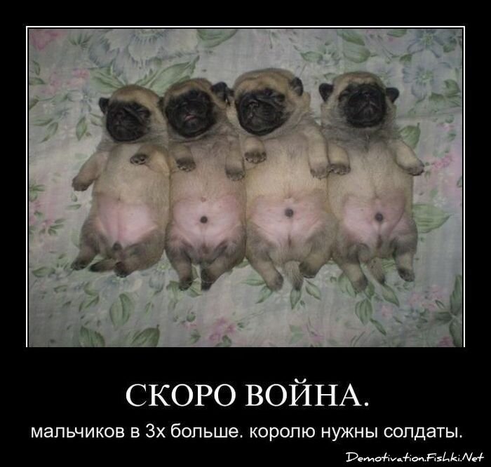 Смешной демотиватор от zubrilov за 01.04.2011 №73018