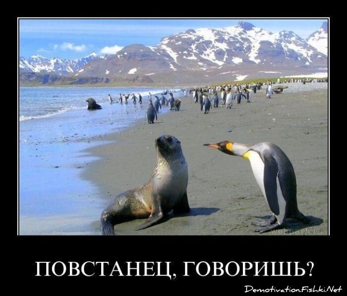 Смешной демотиватор от zubrilov за 01.04.2011 №73019