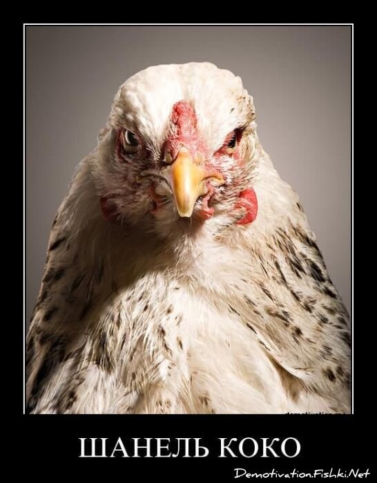 Смешной демотиватор от zubrilov за 01.04.2011 №73028