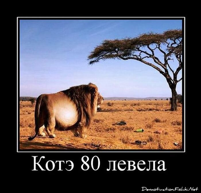 Смешной демотиватор от zubrilov за 01.04.2011 №73036