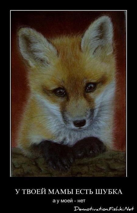 Смешной демотиватор от zubrilov за 01.04.2011 №73056