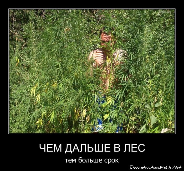 Смешной демотиватор от zubrilov за 06.04.2011 №73426