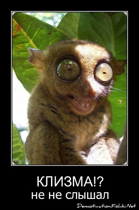 Смешной демотиватор от zubrilov за 06.04.2011 №73434