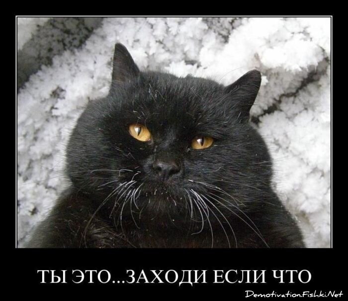 Смешной демотиватор от zubrilov за 06.04.2011 №73450