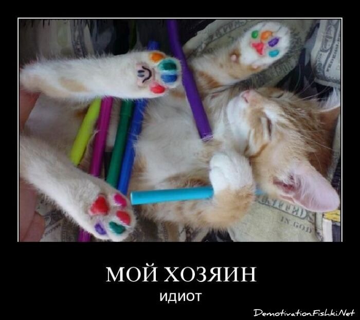 Смешной демотиватор от zubrilov за 06.04.2011 №73452