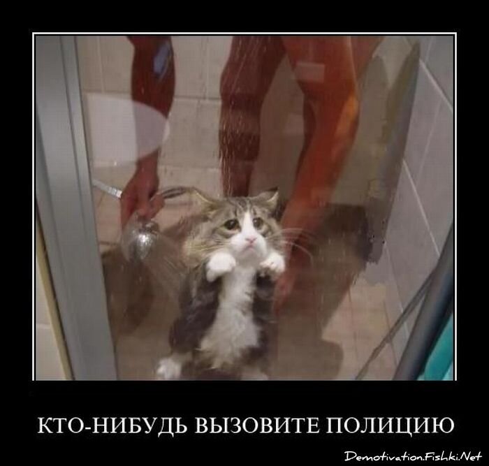 Смешной демотиватор от zubrilov за 06.04.2011 №73453