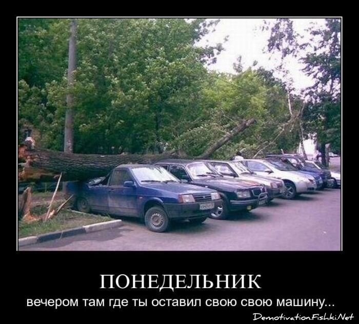 Демотиватор