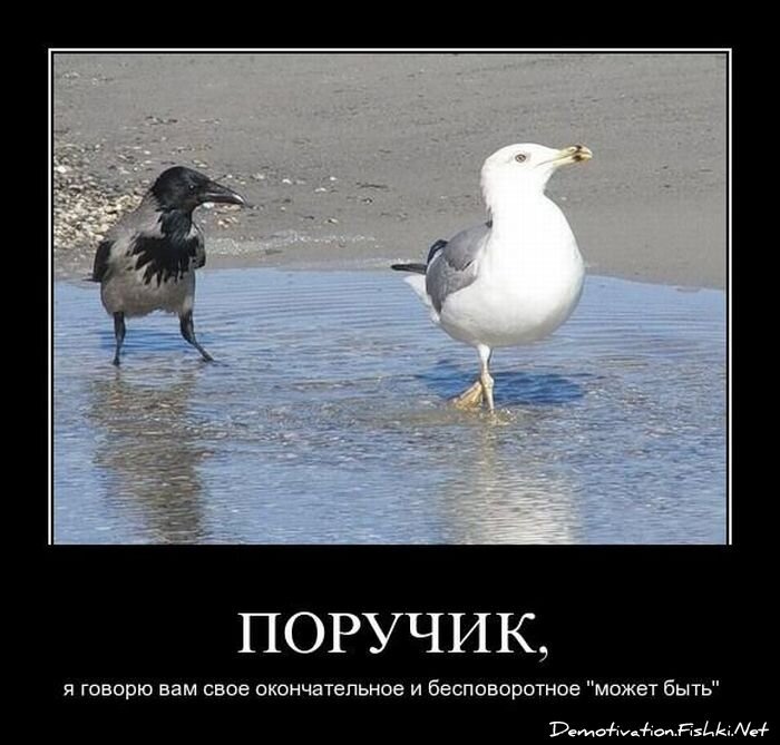 Смешной демотиватор от zubrilov за 06.04.2011 №73467