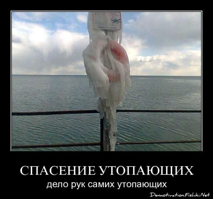 Демотиватор