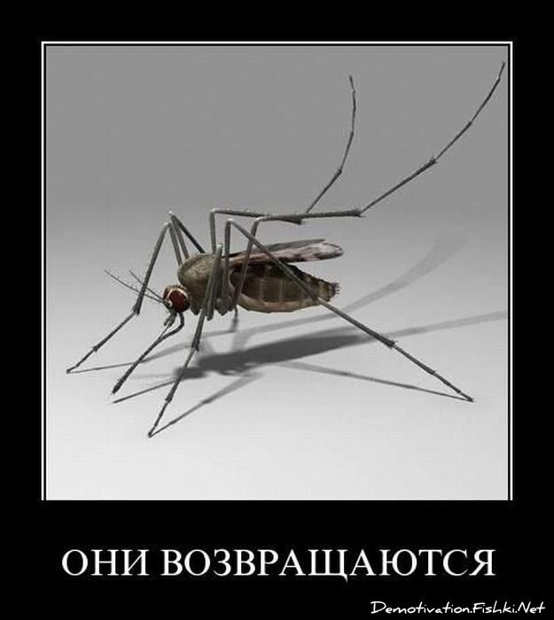 Смешной демотиватор от zubrilov за 06.04.2011 №73472