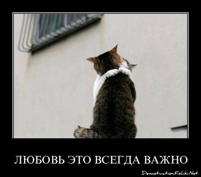 Демотиватор