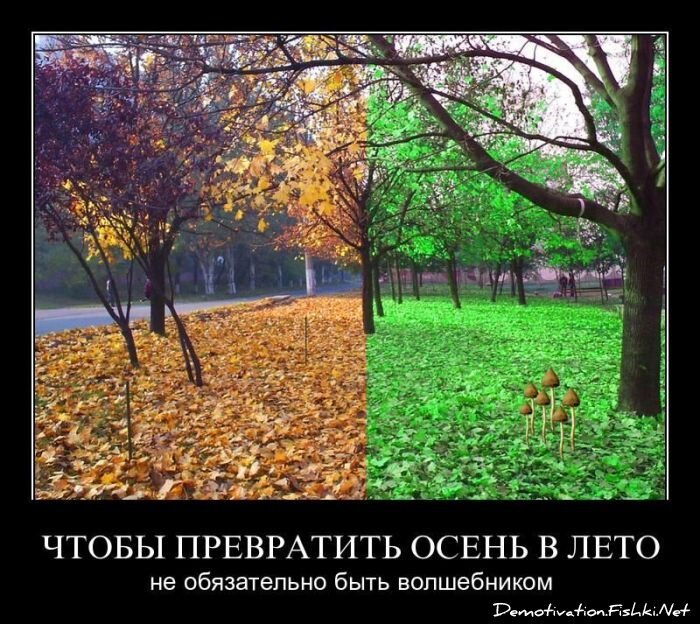 Смешной демотиватор от zubrilov за 06.04.2011 №73479