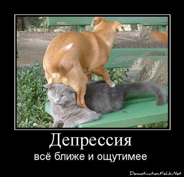 Смешной демотиватор от zubrilov за 06.04.2011 №73489