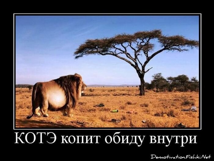 Смешной демотиватор от zubrilov за 06.04.2011 №73491