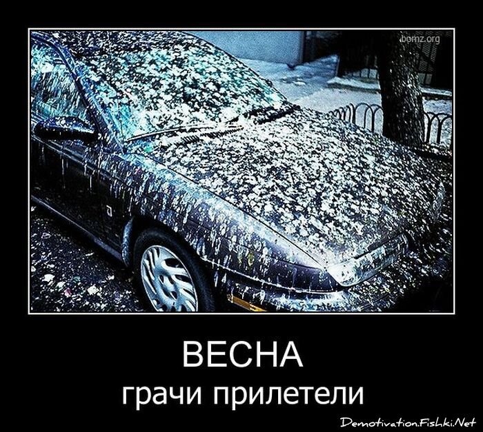 Смешной демотиватор от zubrilov за 06.04.2011 №73492