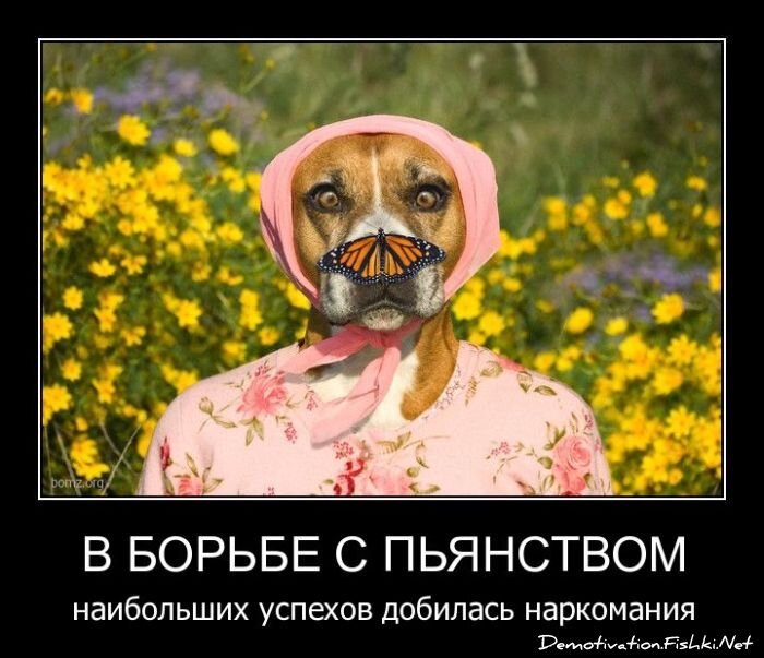 Смешной демотиватор от zubrilov за 06.04.2011 №73503