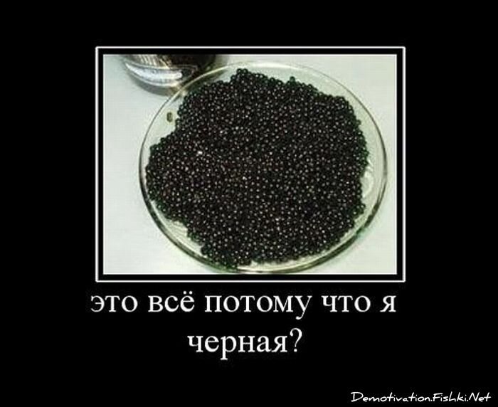 Смешной демотиватор от zubrilov за 06.04.2011 №73504