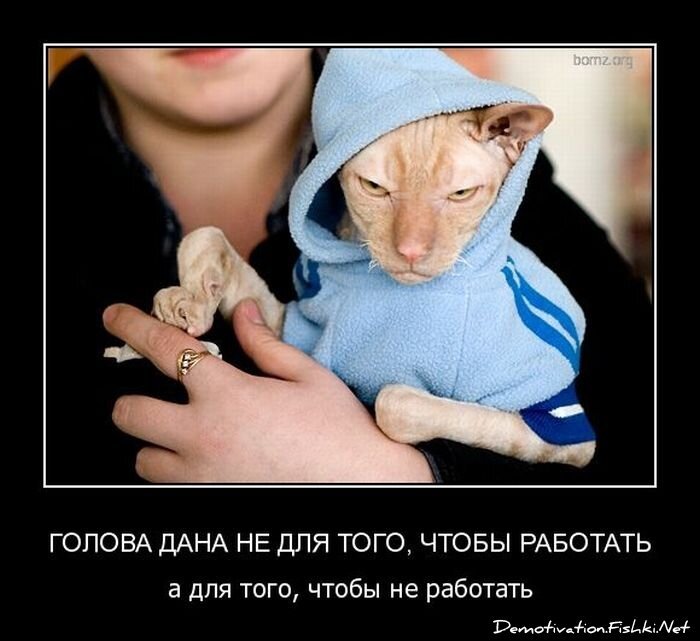 Смешной демотиватор от zubrilov за 06.04.2011 №73509