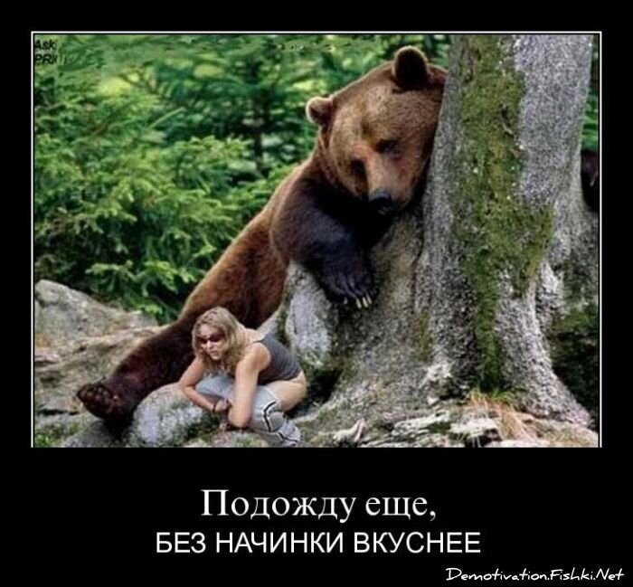 Смешной демотиватор от zubrilov за 06.04.2011 №73515