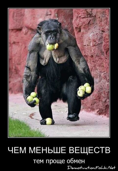 Смешной демотиватор от zubrilov за 08.04.2011 №73630