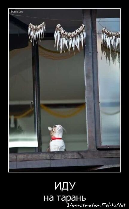 Смешной демотиватор от zubrilov за 08.04.2011 №73634