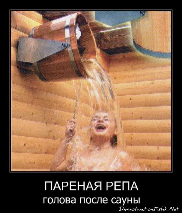 Смешной демотиватор от zubrilov за 08.04.2011 №73640