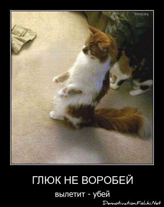 Смешной демотиватор от zubrilov за 08.04.2011 №73659