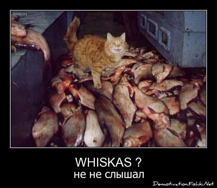 Смешной демотиватор от zubrilov за 08.04.2011 №73670