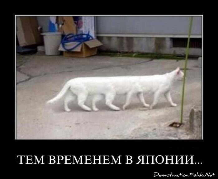 Смешной демотиватор от zubrilov за 08.04.2011 №73677