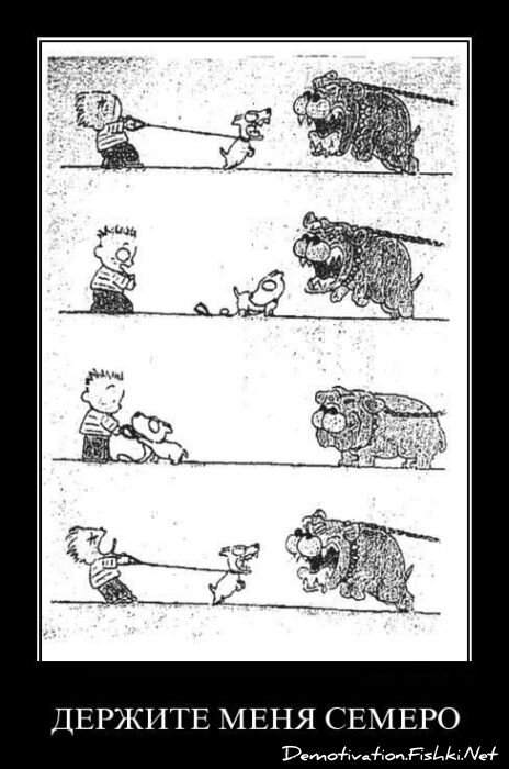Смешной демотиватор от zubrilov за 08.04.2011 №73679