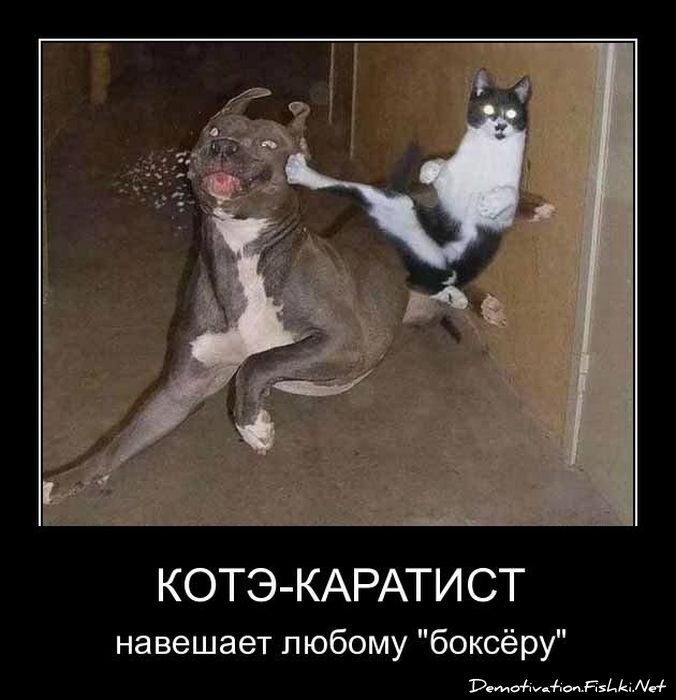 Смешной демотиватор от zubrilov за 08.04.2011 №73680