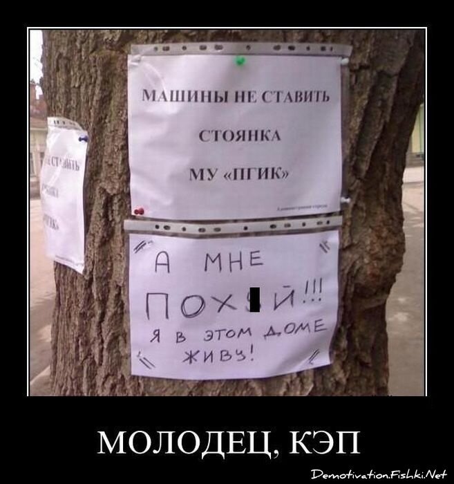 Смешной демотиватор от zubrilov за 08.04.2011 №73681