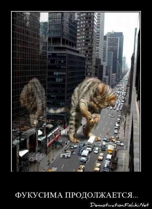 Смешной демотиватор от zubrilov за 08.04.2011 №73682