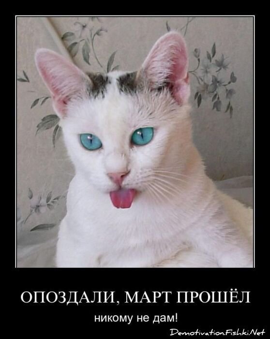 Смешной демотиватор от zubrilov за 08.04.2011 №73686