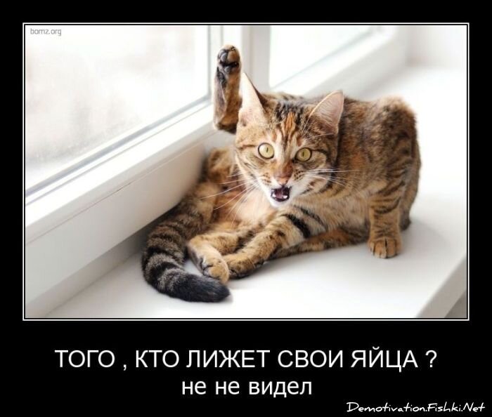 Смешной демотиватор от zubrilov за 08.04.2011 №73689