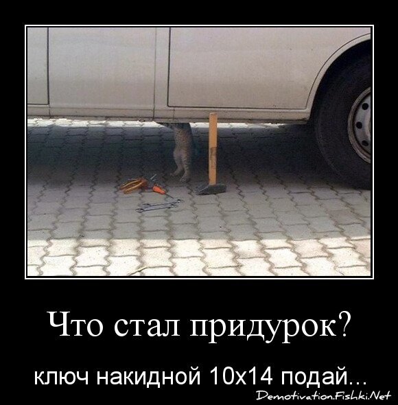 Что стал придурок?