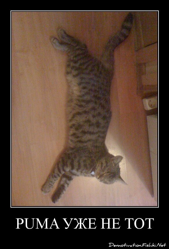 Puma уже не тот