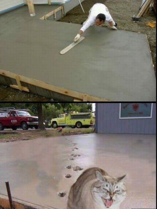 Прикольные фото и картинки от zubrilov за 12.04.2011 №73939