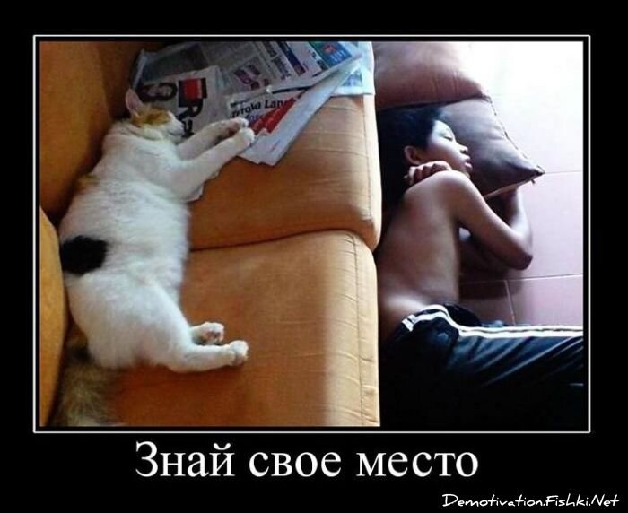 Смешной демотиватор от zubrilov за 13.04.2011 №74026