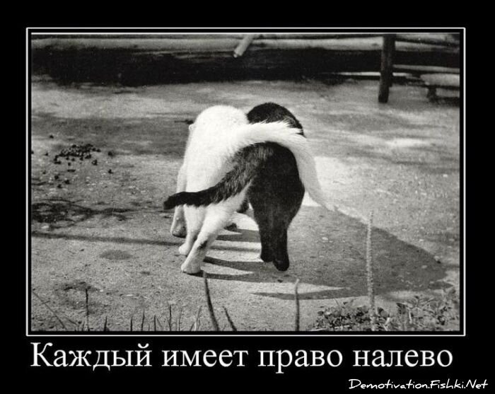 Смешной демотиватор от zubrilov за 13.04.2011 №74043