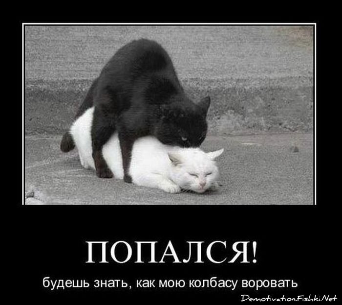 Смешной демотиватор от zubrilov за 13.04.2011 №74046