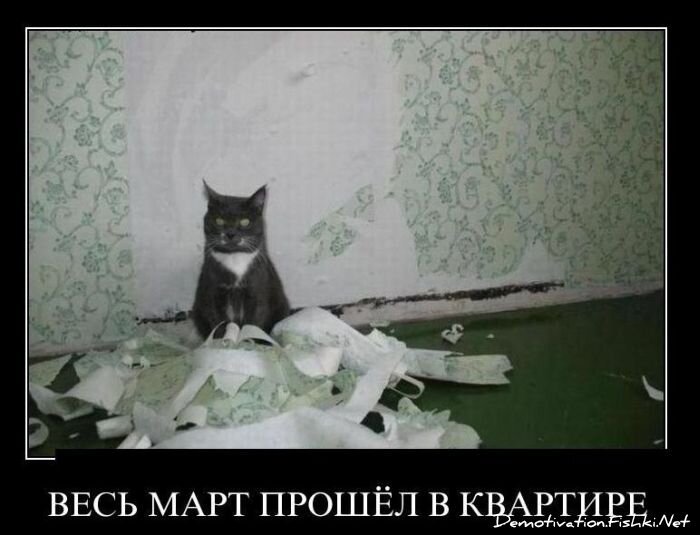 Смешной демотиватор от zubrilov за 13.04.2011 №74048