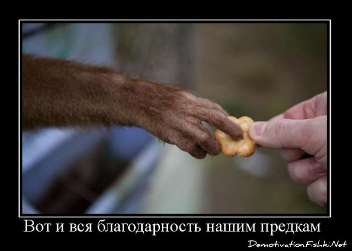 Смешной демотиватор от zubrilov за 13.04.2011 №74053